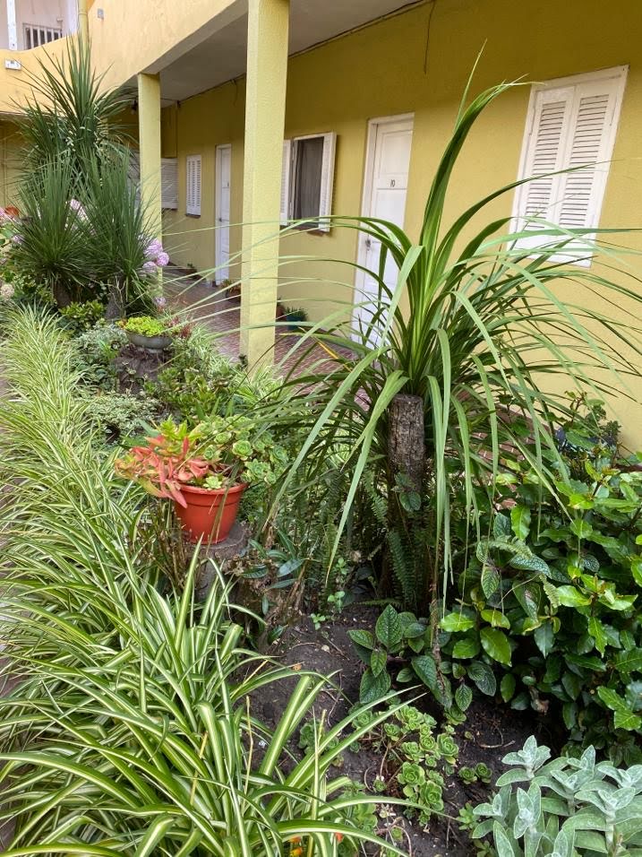 Patio Interno